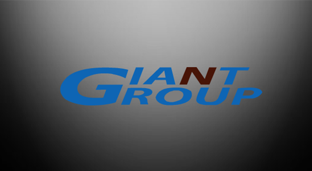 GIANT GROUP