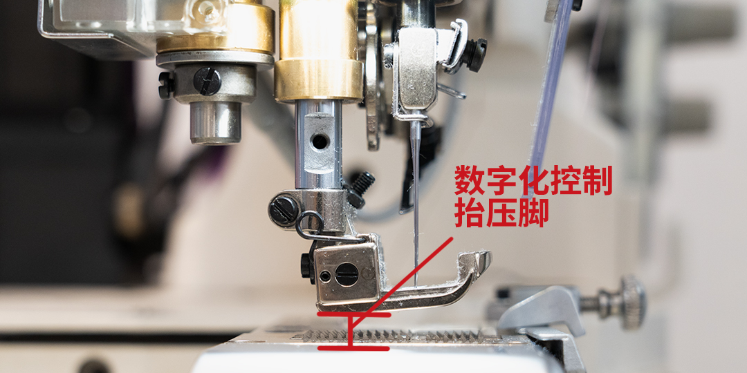 "数字化控制抬压脚（78V通用图）.jpg"